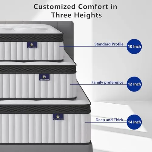 Three Thicknesses, One Real Choice to Make